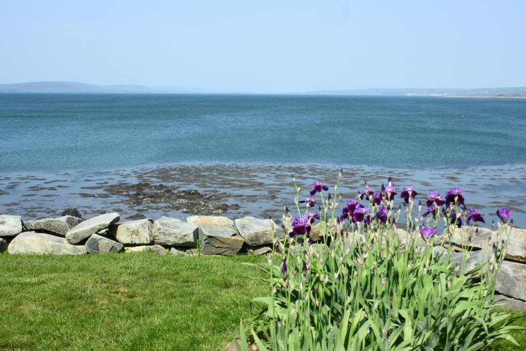 Come From Away B&B Digby Exterior foto